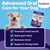 PawStreet Dog Dental Powder