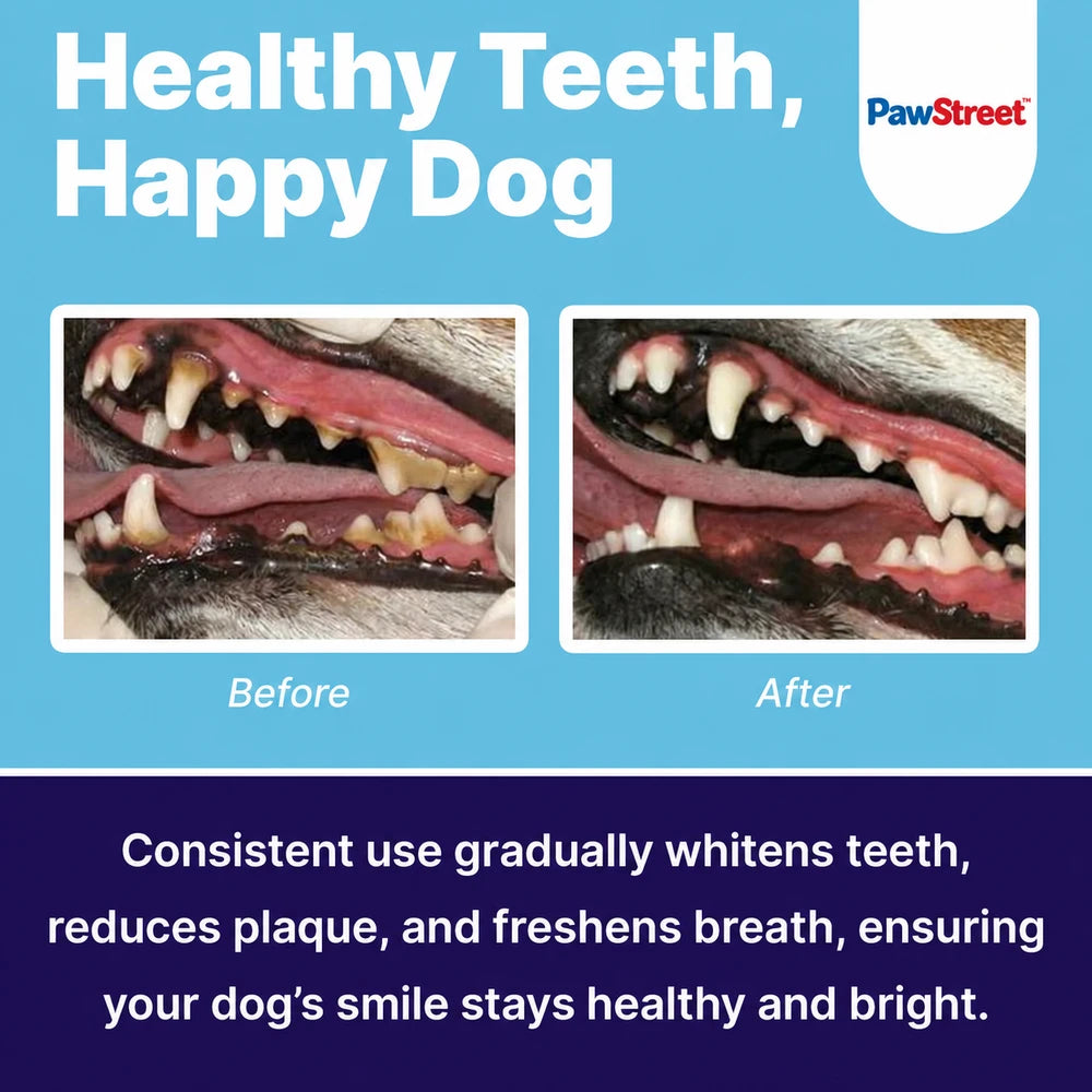 PawStreet Dog Dental Powder